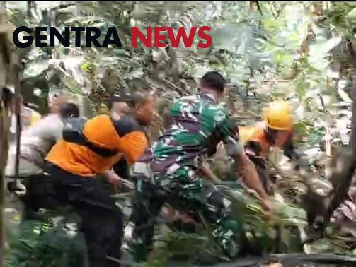 Babinsa Bebandem Bersama TRC BPBD Evakuasi Pohon Tumbang