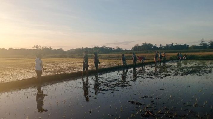 Wujudkan Ketahanan Pangan, Babinsa Koramil 01/Lewa