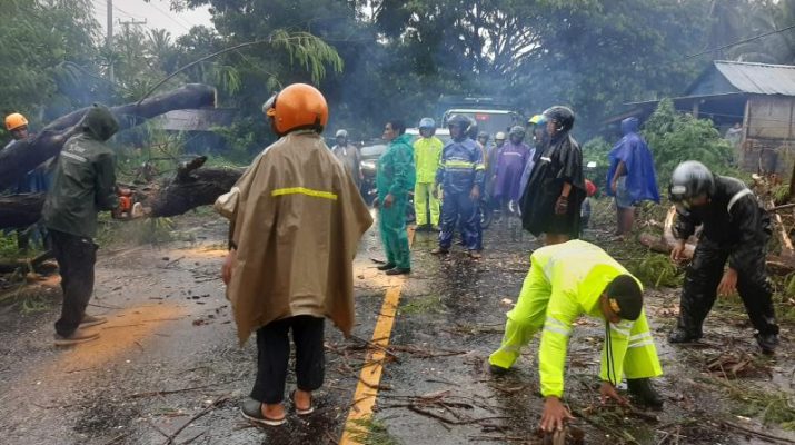 Respon Cepat Personel Polsek Selemadeg Mengatasi Pohon Tumbang yang Menghalangi Jalan