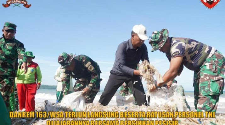 Danrem 163/WSA