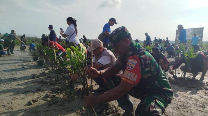 Mangrove Serentak: Aksi Hijau Nusantara