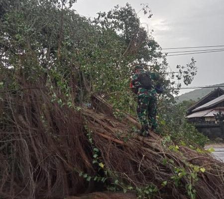 Babinsa 1623-02/Abang bersama BPBD